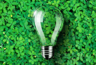 lightbulb lying on a bed of green clover