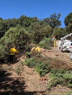 Reducing wildfire risks in the Ukiah Valley
