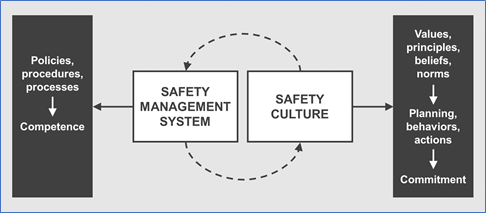 Safety Culture relationship to SMS
