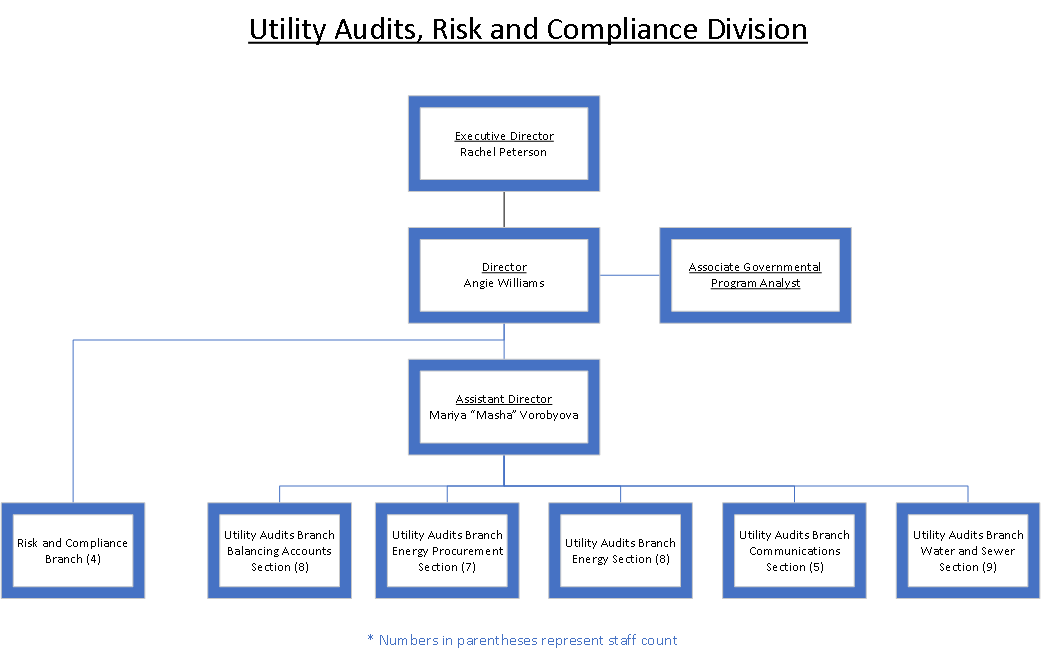 Utility Audits, Risk and Compliance Division Org Chart