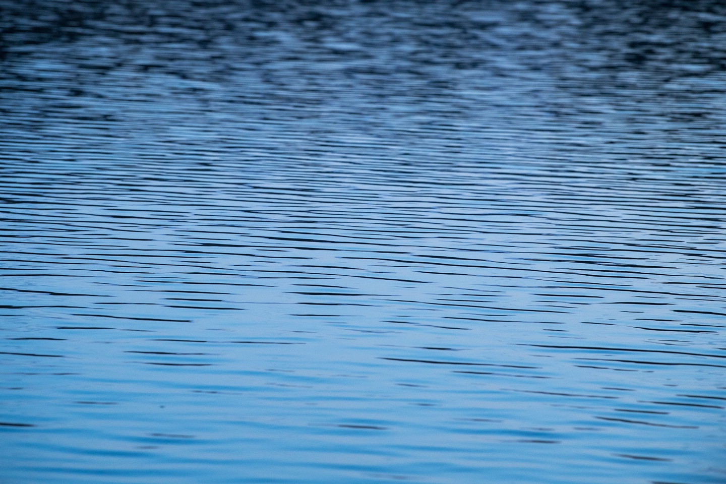 Ripples on Lake Oroville as the sunrise reflects in the water