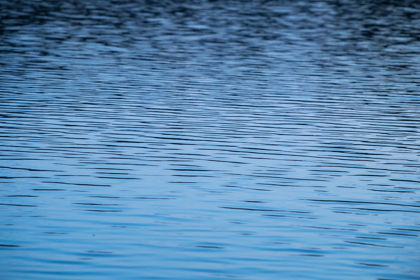 Ripples on Lake Oroville as the sunrise reflects in the water