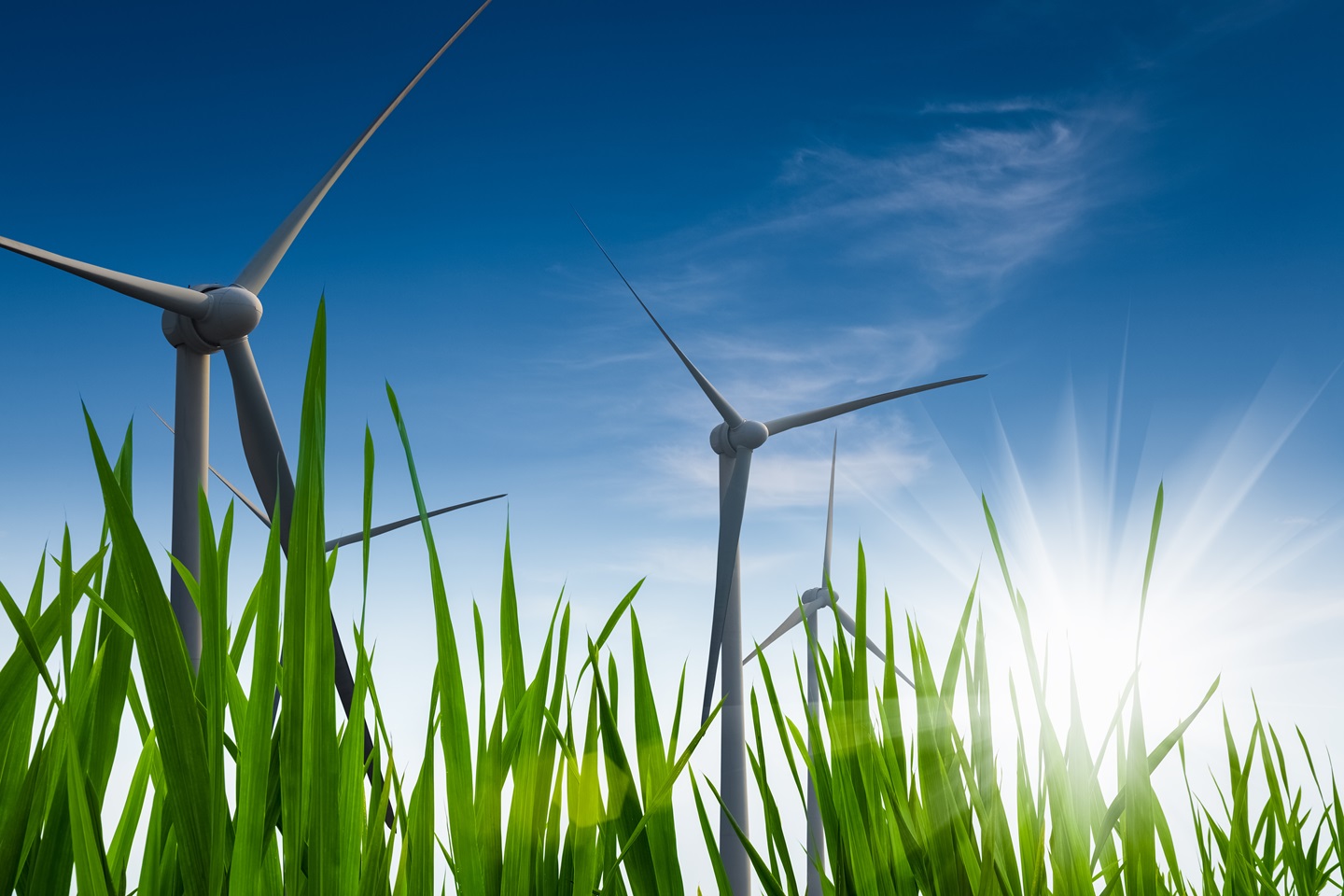 Blades of grass with wind turbines and the sun shining in the background. 